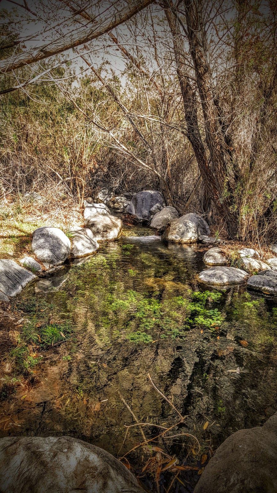 The Wildlands Conservancy Whitewater Preserve | 9160 Whitewater Canyon Rd, Whitewater, CA 92282, USA | Phone: (760) 369-7105