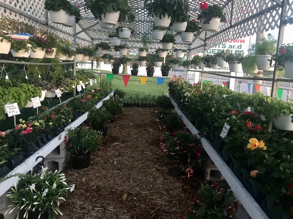 Normas Produce & Greenhouses | 3554 IL-157, Glen Carbon, IL 62034, USA | Phone: (618) 288-9056