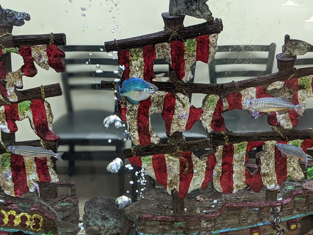 Jefferson Pediatrics | 1765 Old Missouri 21, Arnold, MO 63010, USA | Phone: (636) 296-4466