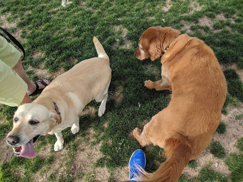 Anamax Dog Park | W Camino Mazatlan, Sahuarita, AZ 85629, USA | Phone: (520) 445-7850