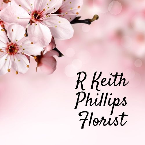 Phillips Florist | 554 Huffman Mill Rd, Burlington, NC 27215, USA | Phone: (336) 584-0833