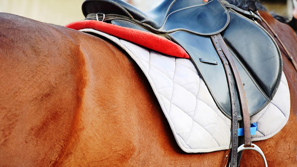 OW Saddles Inc | 2378 N Desert View Dr, Apache Junction, AZ 85120, USA | Phone: (928) 684-6850