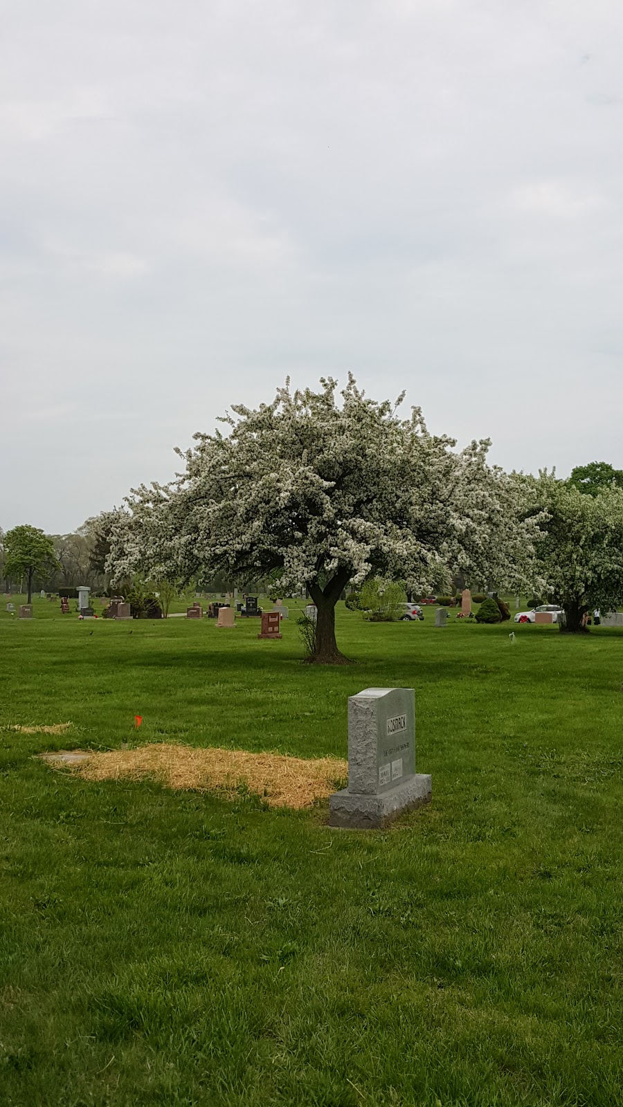 Forest Lawn Cemetery | 11851 Van Dyke Street, Detroit, MI 48234, USA | Phone: (313) 921-6960