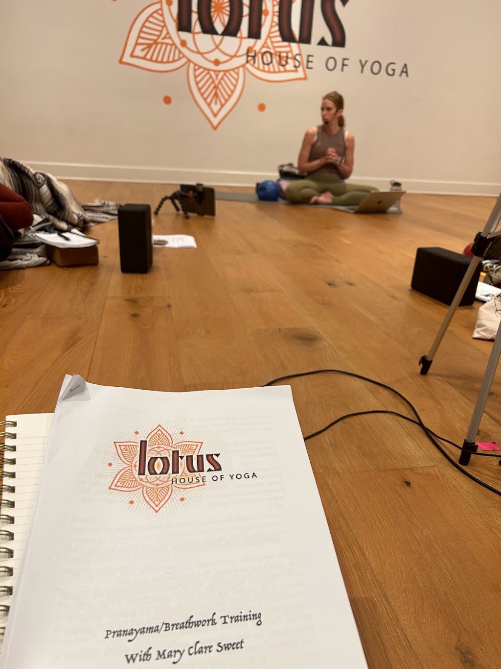 Lotus House of Yoga | 222 N 114th St, Omaha, NE 68154, USA | Phone: (402) 281-4218