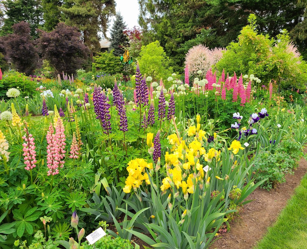 Schreiners Iris Gardens | 3625 Quinaby Rd NE, Salem, OR 97303, USA | Phone: (503) 393-3232