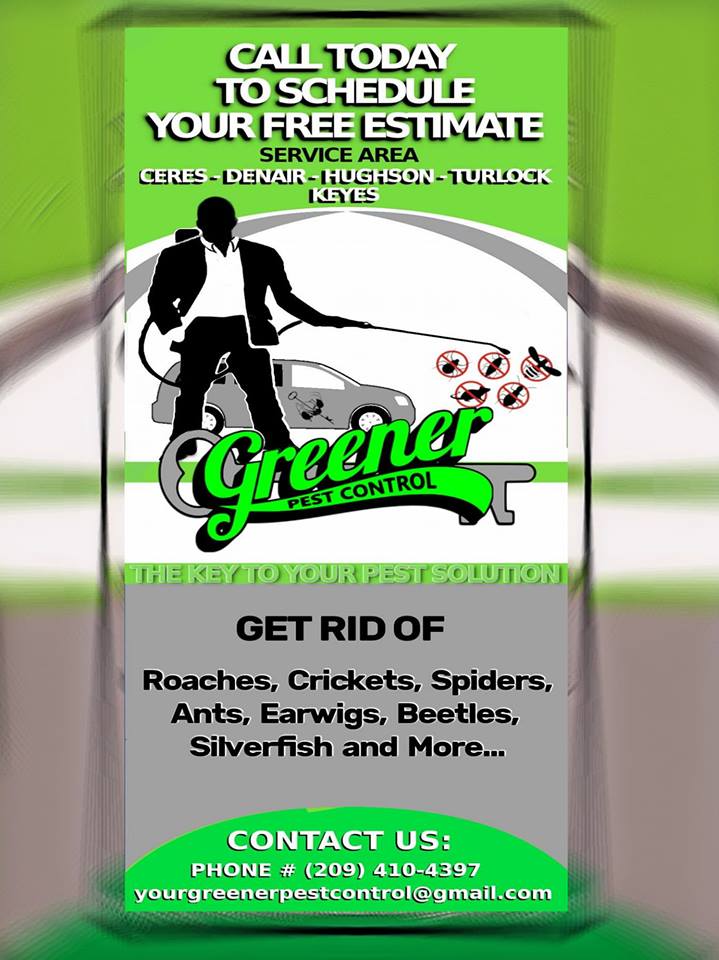 Greener Pest Control | 4217 Lucinda Ave, Keyes, CA 95328, USA | Phone: (209) 410-4397