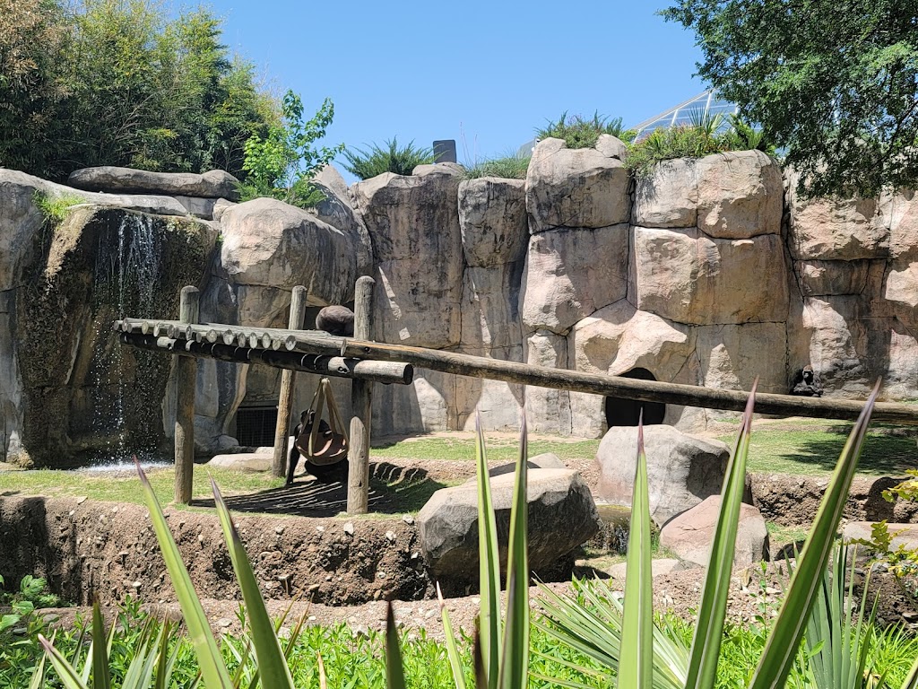 Ticket Booth at Fort Worth Zoo | Fort Worth, TX 76109, USA | Phone: (817) 759-7555