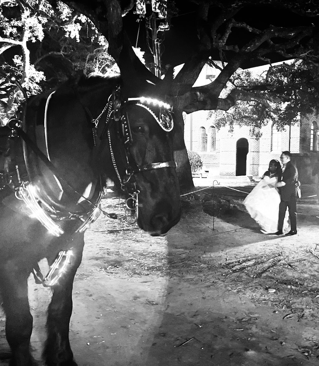 Southern Breezes Carriages | 4126 Medlin Rd, Monroe, NC 28112, USA | Phone: (704) 301-5111