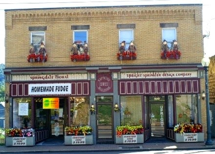 Springdale Floral and Gift Shop | 902 Pittsburgh St, Springdale, PA 15144, USA | Phone: (724) 274-6211