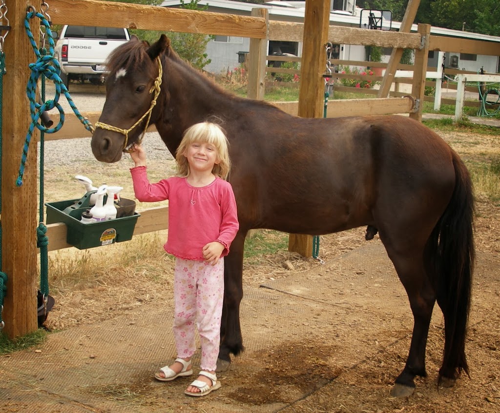 Hillside Riding Stables, Lessons & Horse Camps | 9065 Oak Ave, Orangevale, CA 95662, USA | Phone: (916) 987-1667