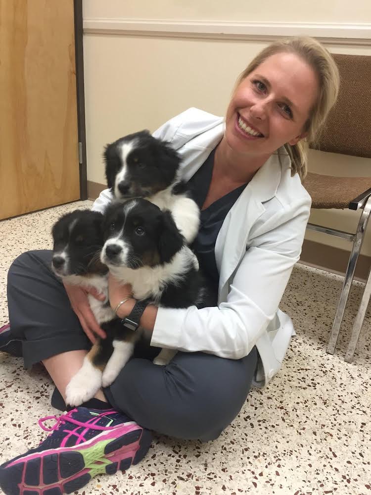 The Visiting Vet North County | Vía Puerta Del Sol, Bonsall, CA 92003, USA | Phone: (760) 420-5523