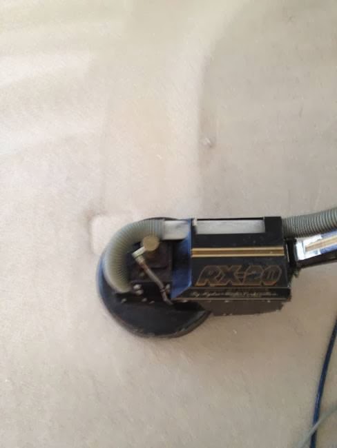 Carpet Restoration Specialists | 26660 Montclair Dr, Hemet, CA 92544, USA | Phone: (951) 330-5710