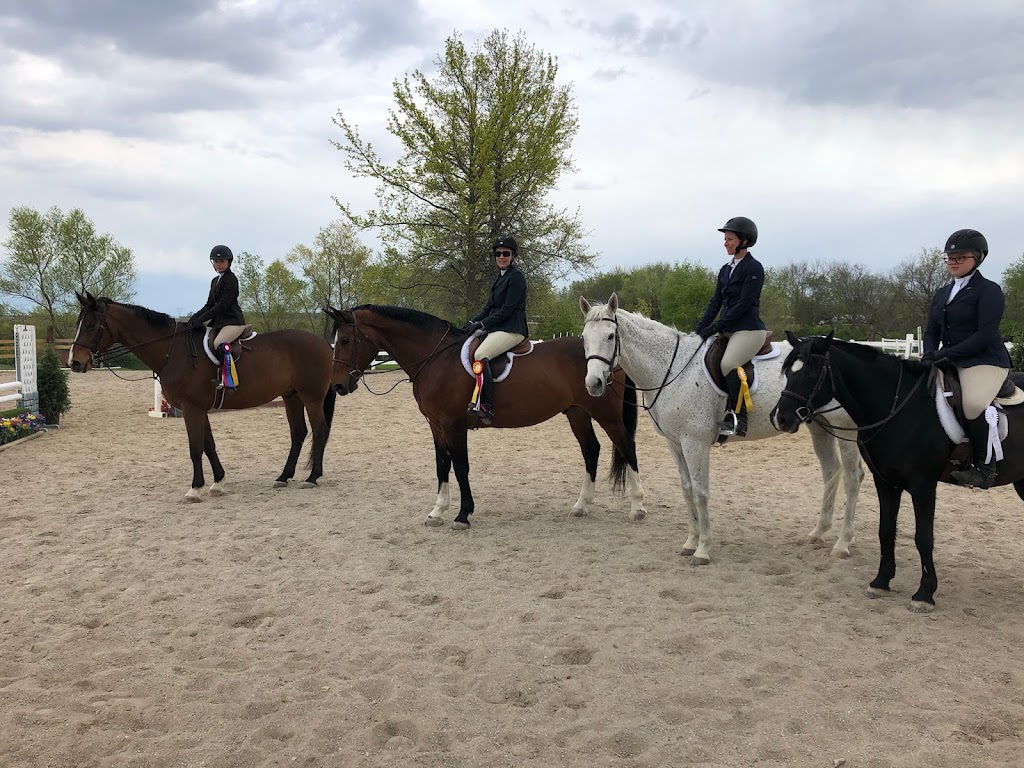 Briarstone Riding Academy | 3924 Floraville Rd, Waterloo, IL 62298, USA | Phone: (618) 719-9959