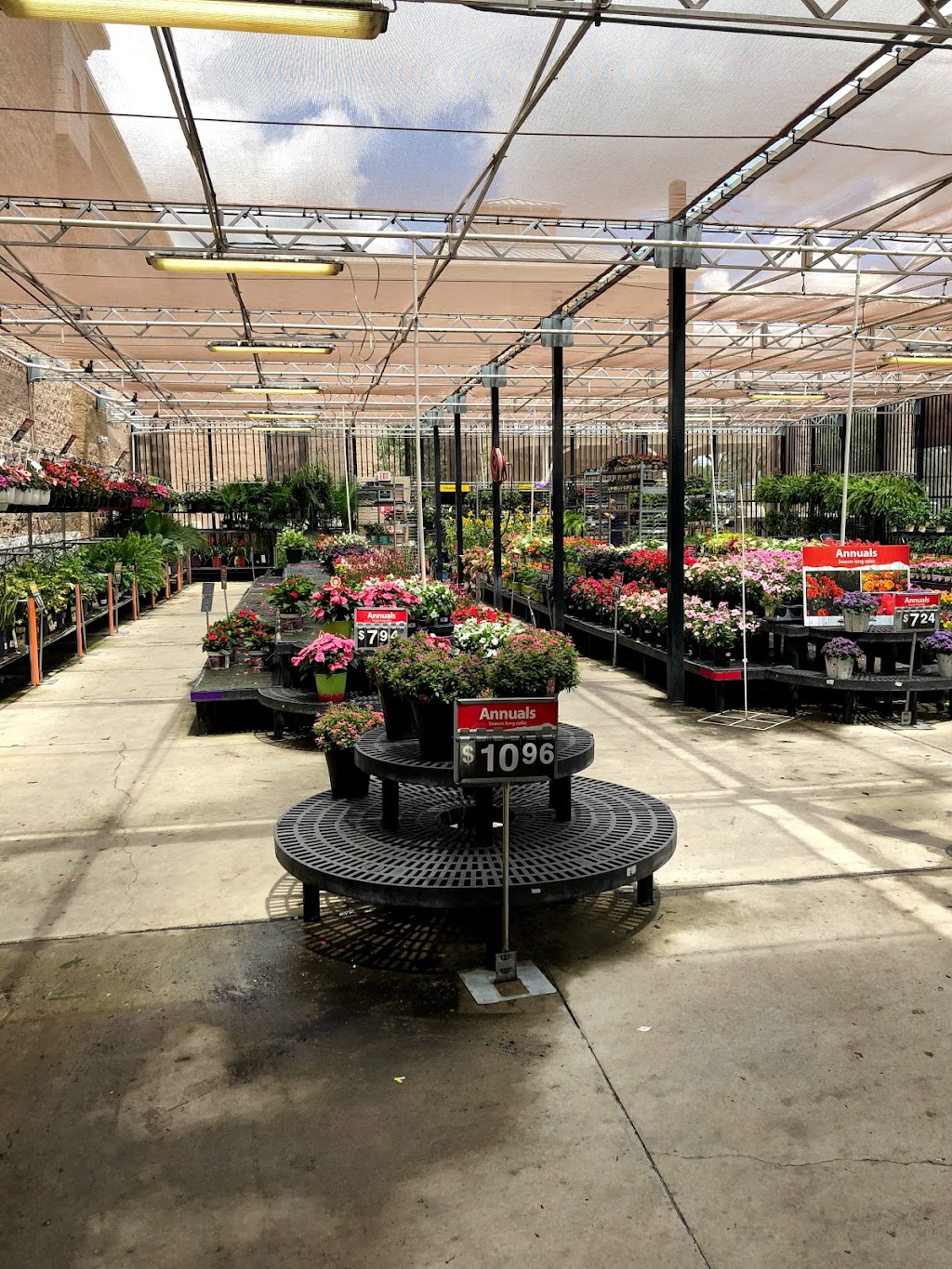 Walmart Garden Center | 1575 Land O Lakes Blvd, Lutz, FL 33549, USA | Phone: (813) 949-4238