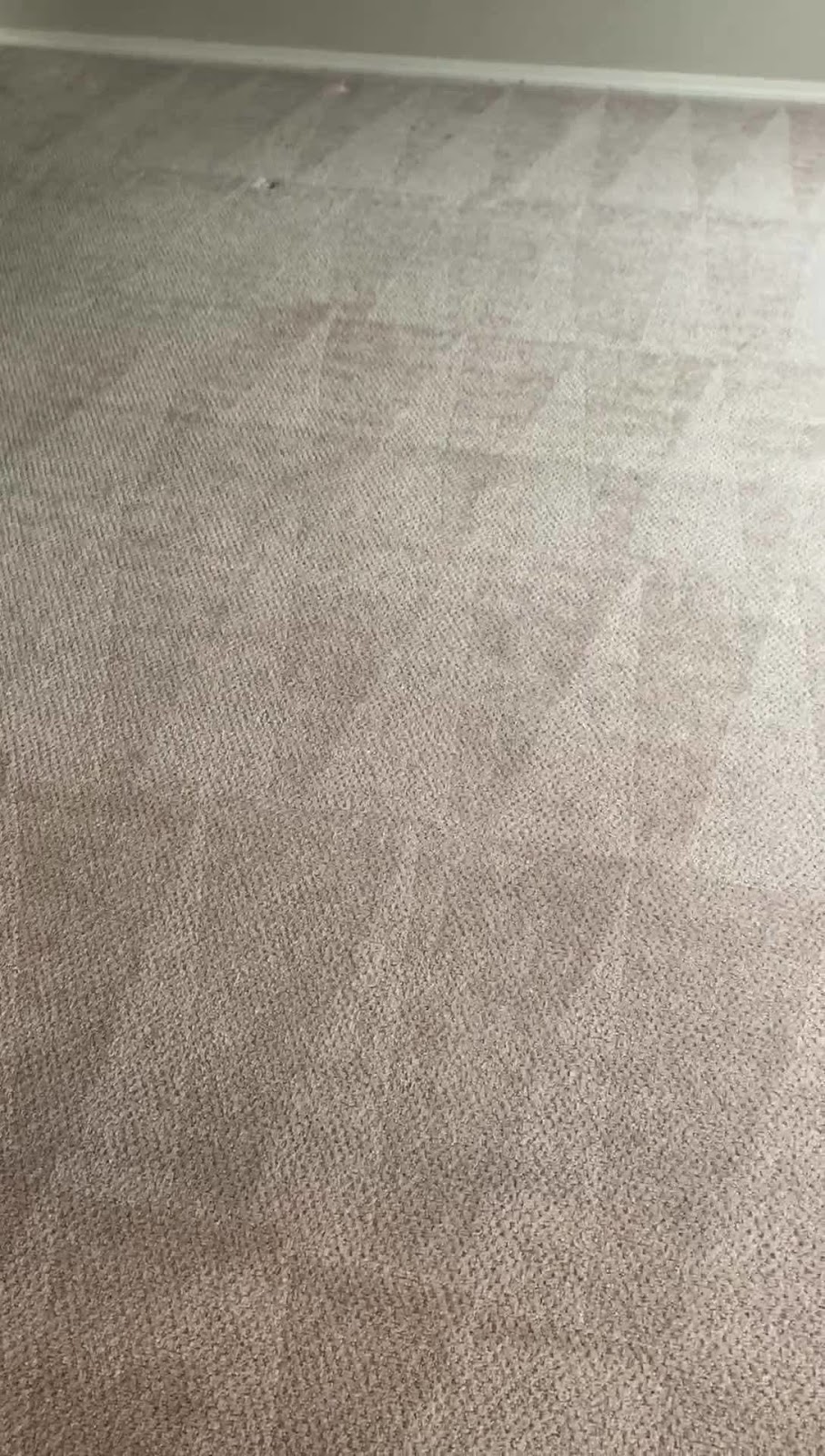 JQ Carpet Cleaning | 9655 River Rd NE, Salem, OR 97303, USA | Phone: (971) 272-4210