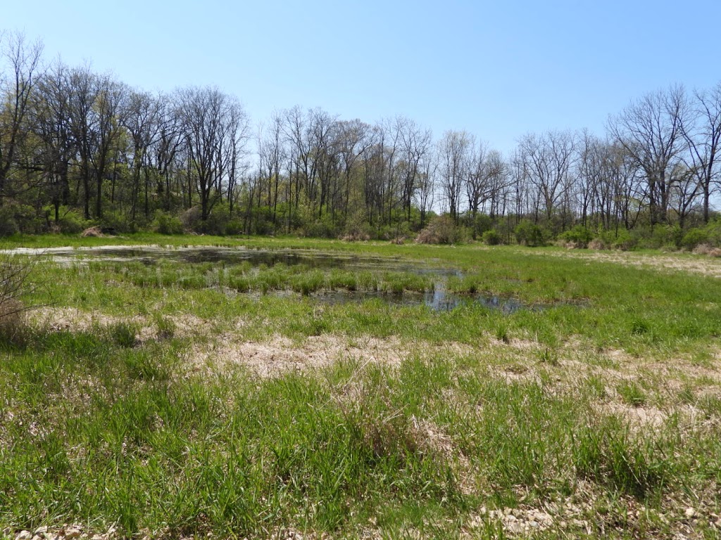 Hook Lake Wildlife Area | 4564 Rutland Dunn Town Line Rd, Oregon, WI 53575, USA | Phone: (888) 936-7463