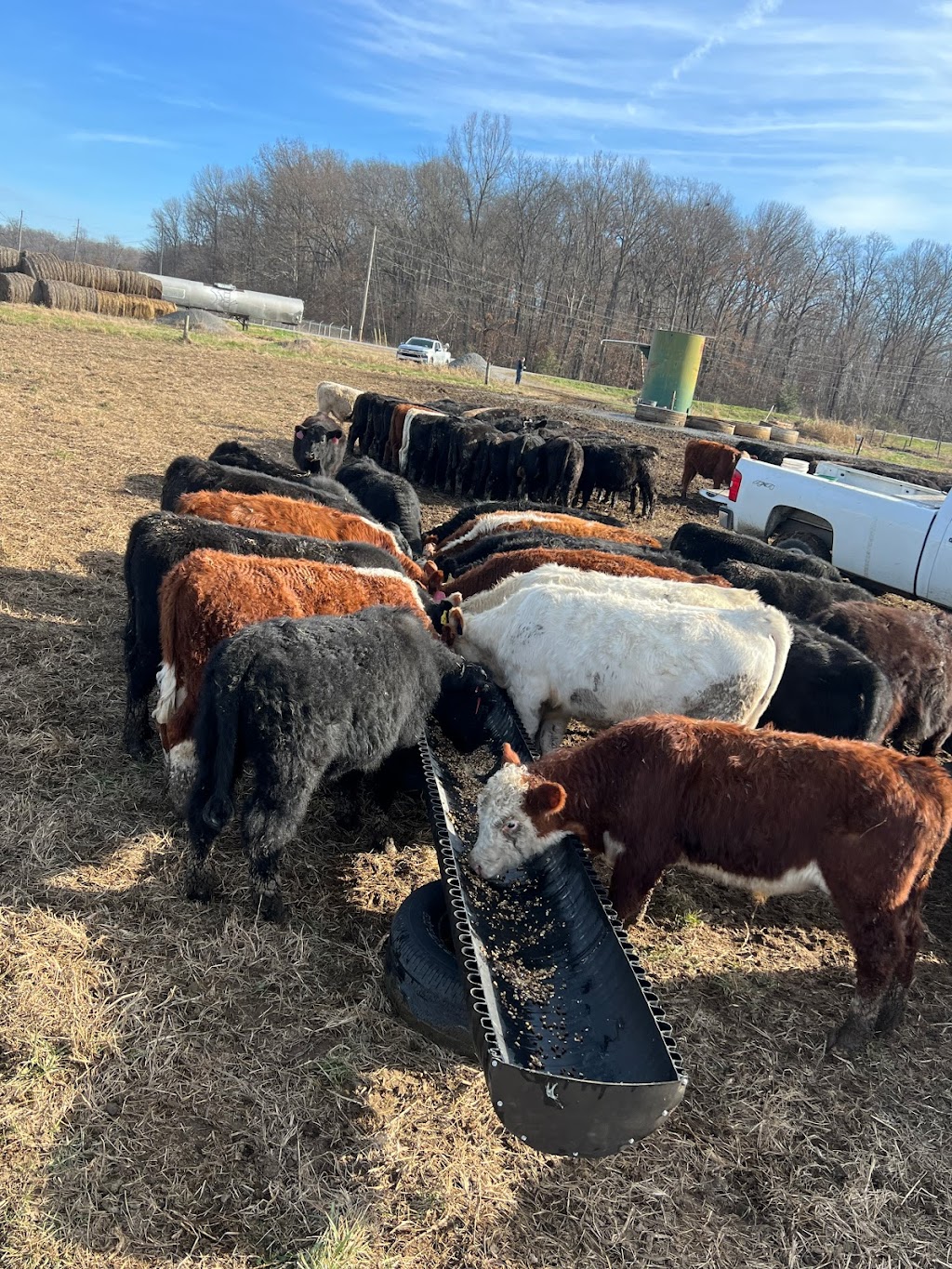 Smitty Feed Troughs | 945 Old Spurlington Rd, Campbellsville, KY 42718, USA | Phone: (270) 789-8108