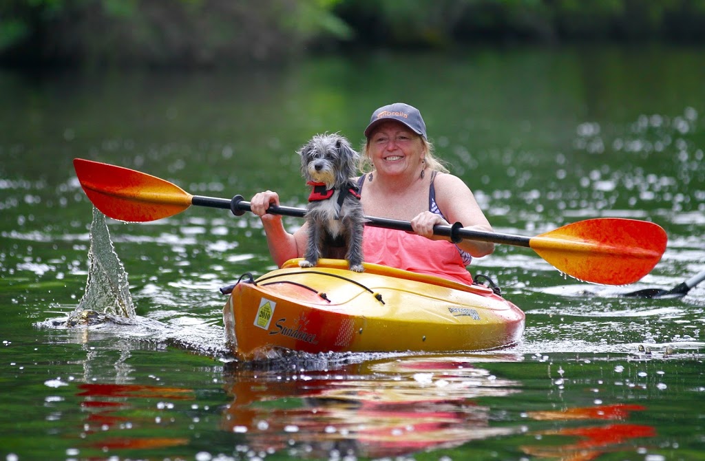 Dismal Swamp Canal Welcome Center | 2356 US-17, South Mills, NC 27976, USA | Phone: (252) 771-8333