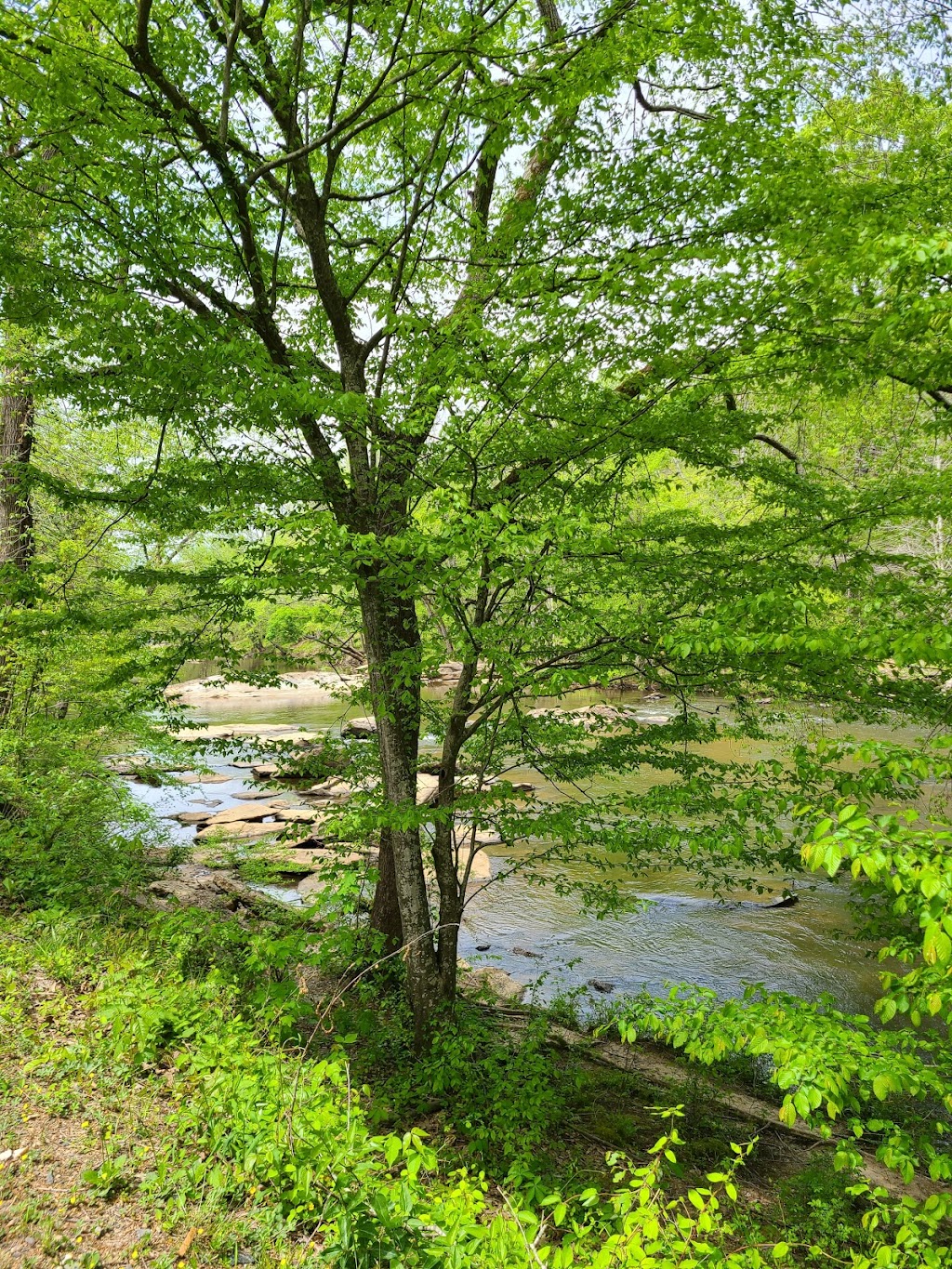 Deep River Nature Trail Randleman Parks and Recreation | Presnell St, Randleman, NC 27317, USA | Phone: (336) 824-2604