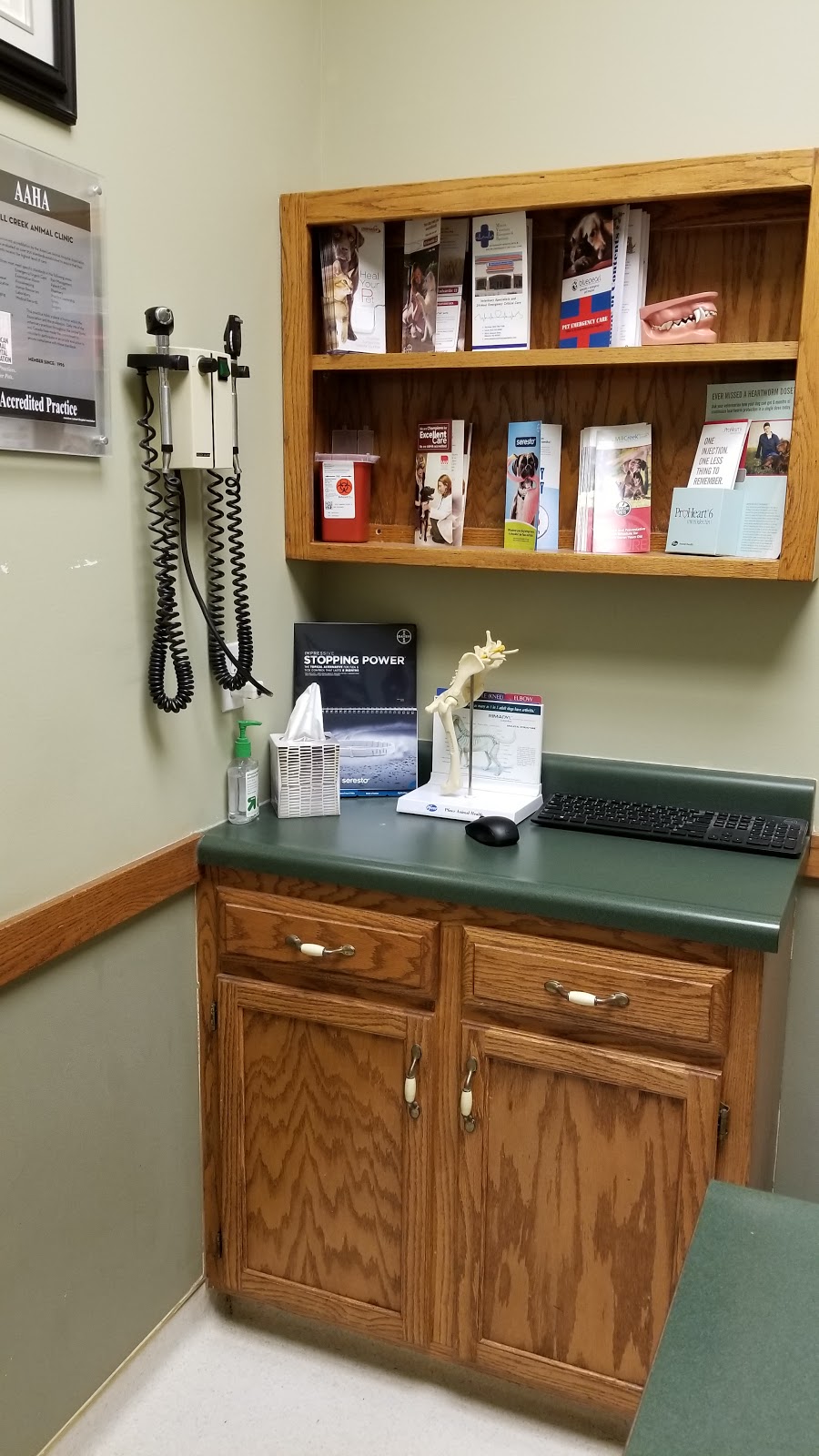 Mill Creek Animal Hospital | 13428 W 62nd Terrace, Shawnee, KS 66216, USA | Phone: (913) 268-0900