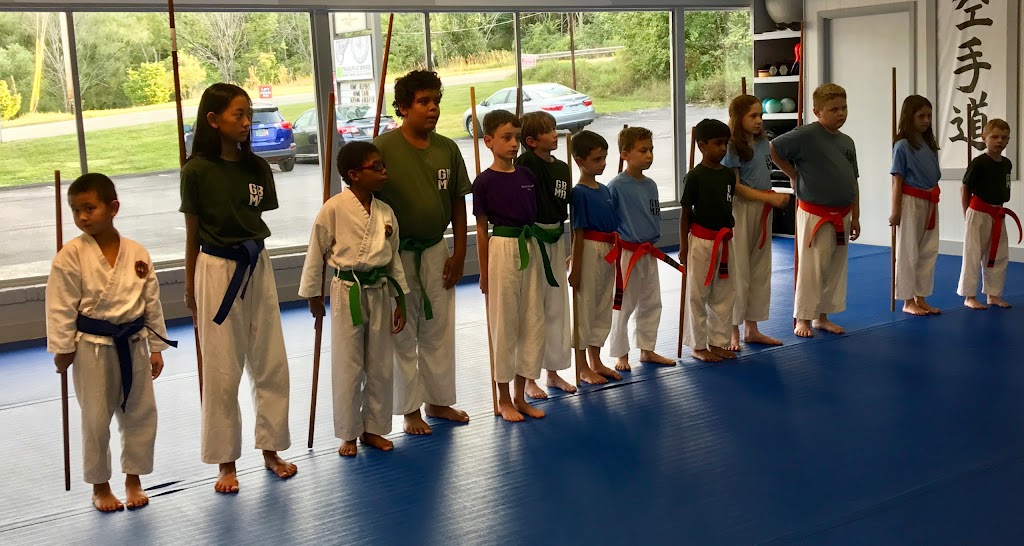 Gaddis Brothers Martial Arts | 9555 Babcock Blvd, Allison Park, PA 15101, USA | Phone: (412) 367-6147