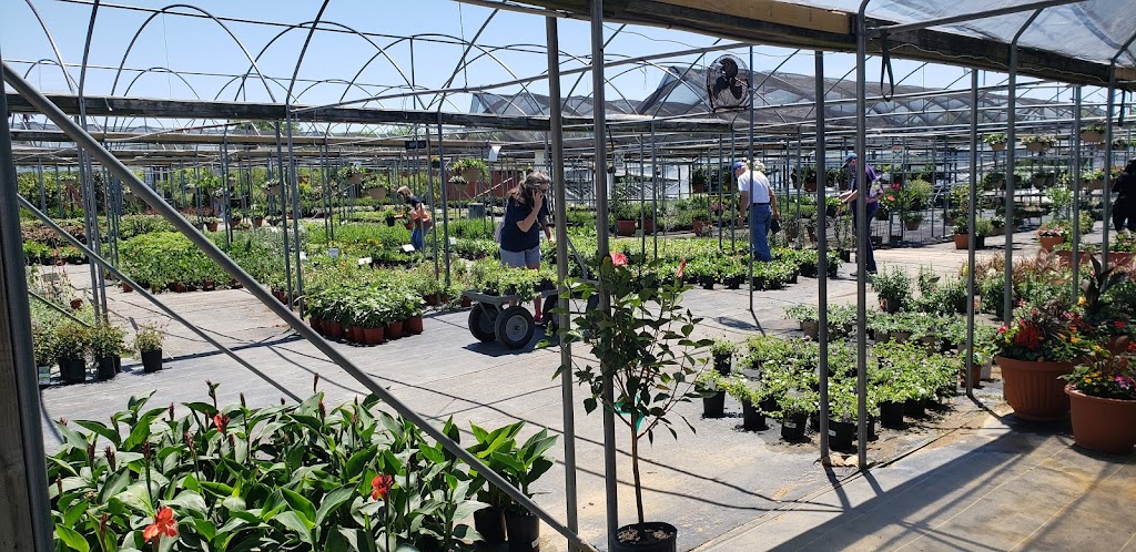 Home Grown Plants | 2675 E Audie Murphy Pkwy, 2675 W Audie Murphy Pkwy, Farmersville, TX 75442 | Phone: (972) 523-9356