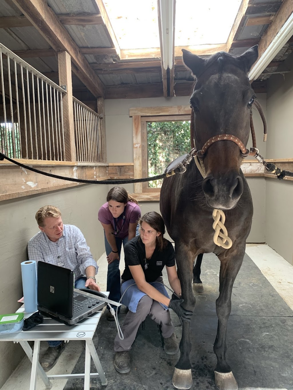 Austin Equine Hospital | 20640 Ranch to Market Rd 150, Driftwood, TX 78619, USA | Phone: (512) 858-0058