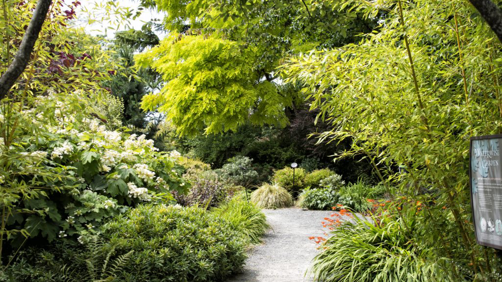 Bellevue Botanical Garden | 12001 Main St, Bellevue, WA 98005, USA | Phone: (425) 452-2750