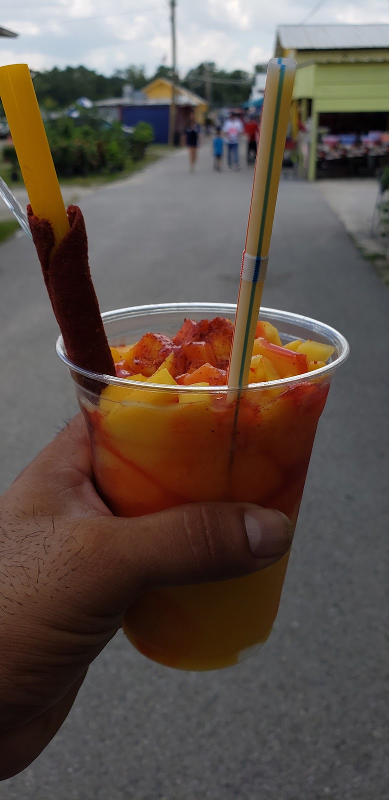 Quail Run Retirement | 2445 Eber Boulevard, Melbourne, FL 32904, USA | Phone: (321) 984-0786