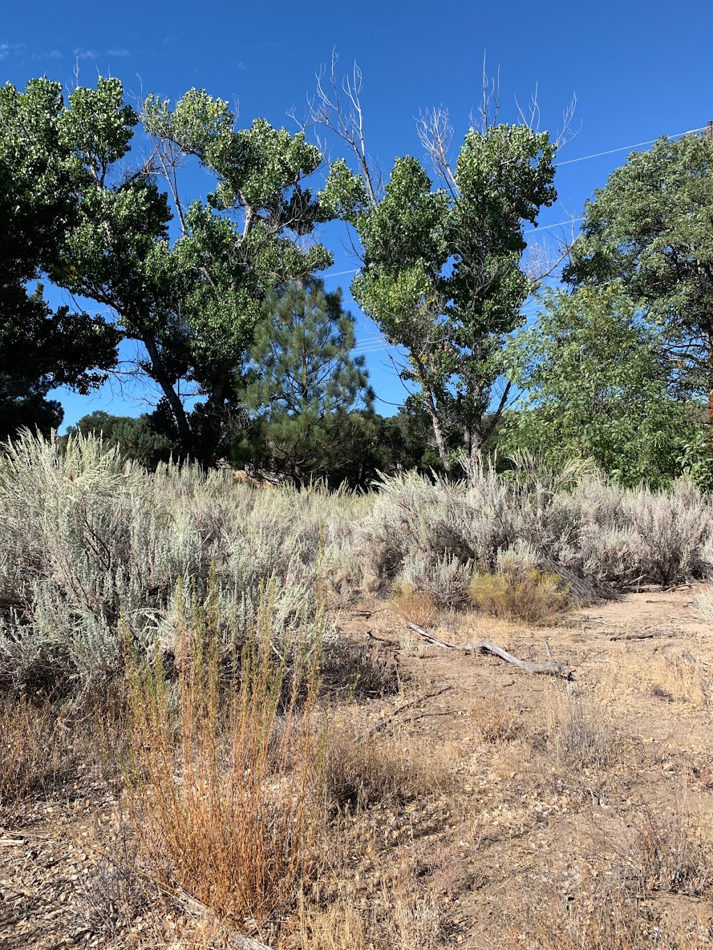 Boulder Oaks Trailhead | Old Hwy 80, Campo, CA 91906, USA | Phone: (858) 673-6180