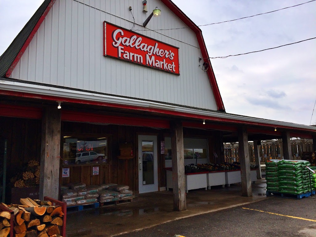 Gallaghers Farm Market | 346 Hwy 20 W, Fenwick, ON L0S 1C0, Canada | Phone: (905) 892-0698