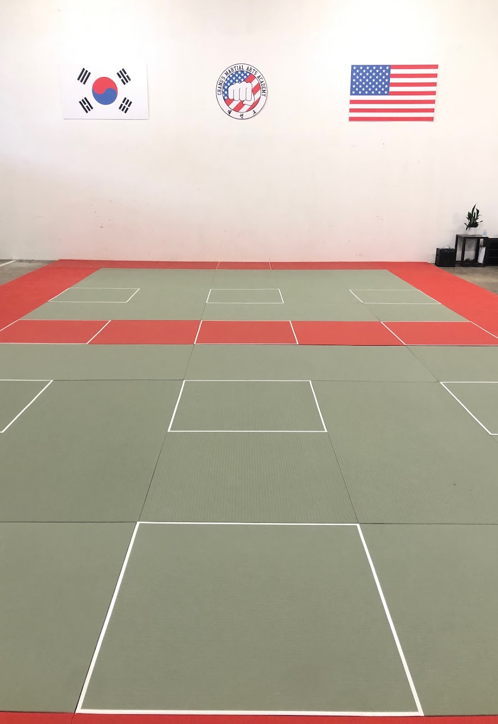 Changs Taekwondo | 225 Northfield Rd, Northfield, IL 60093, USA | Phone: (847) 707-2950