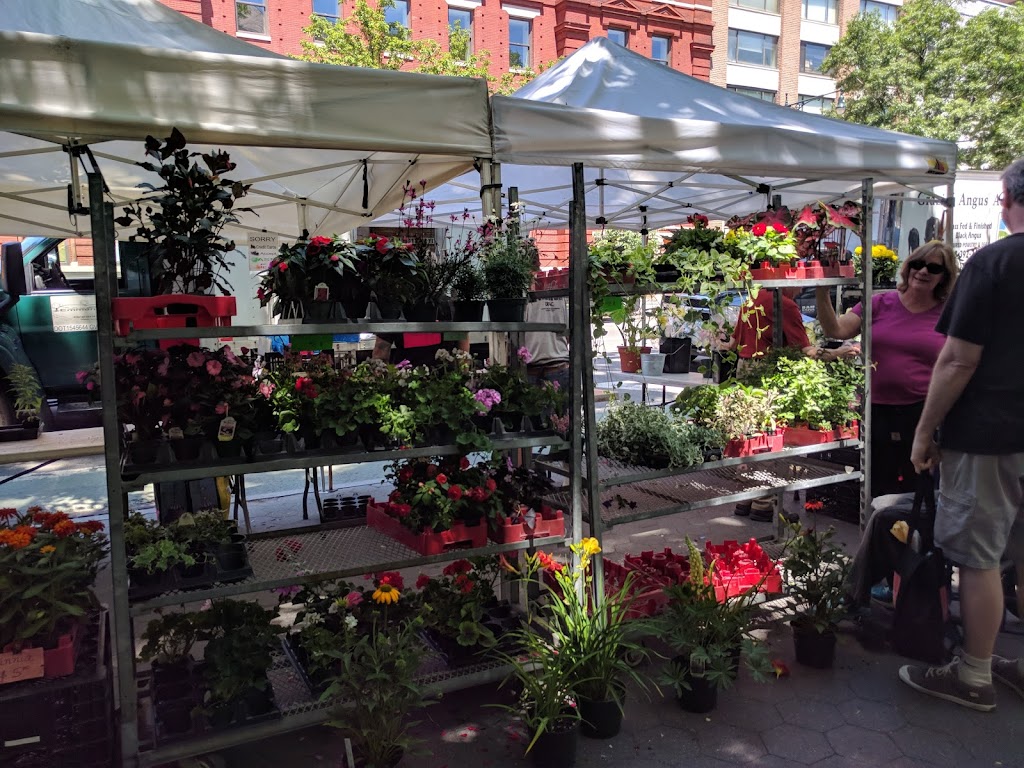 79th Street Greenmarket | 79th Street &, Columbus Ave, New York, NY 10024, USA | Phone: (212) 788-7900