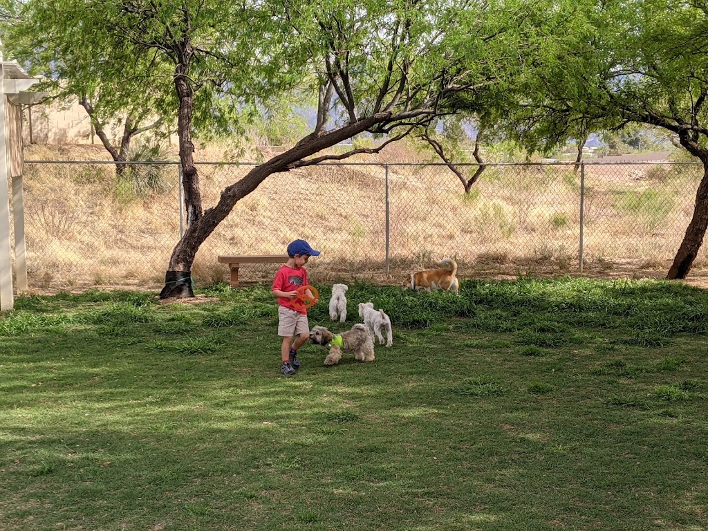 SaddleBrooke Dog Park | 39984 S Sand Crest Dr, Tucson, AZ 85739, USA | Phone: (520) 825-5663