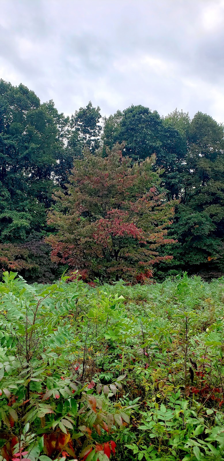 Cemetery Ridge Trail | Creekside Meadows Trail, Rockbridge, OH 43149, USA | Phone: (740) 969-8210