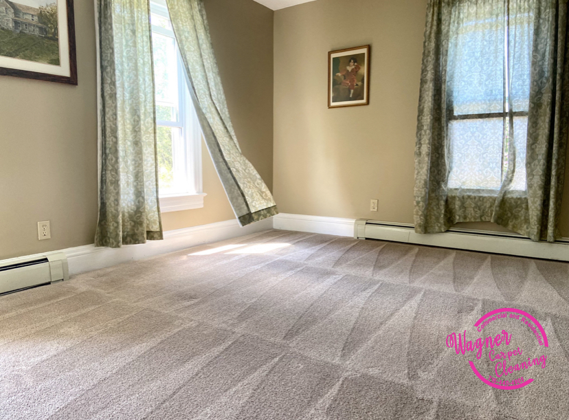 Wagner Carpet Cleaning | 10360 Main St, Clarence, NY 14031, USA | Phone: (716) 440-4905