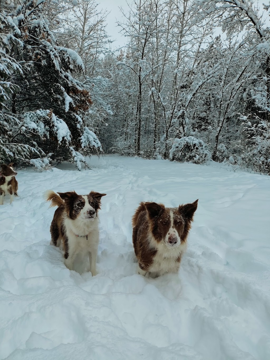 Spirit River Nature Area | 1055 2nd Ave SW, Cambridge, MN 55008, USA | Phone: (763) 689-1800