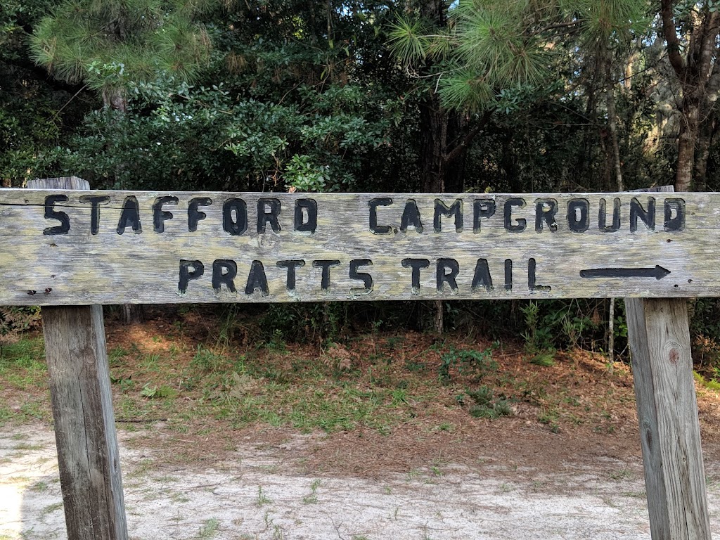 Stafford Beach Campground | Cumberland Island, St Marys, GA 31558, USA | Phone: (218) 820-0362