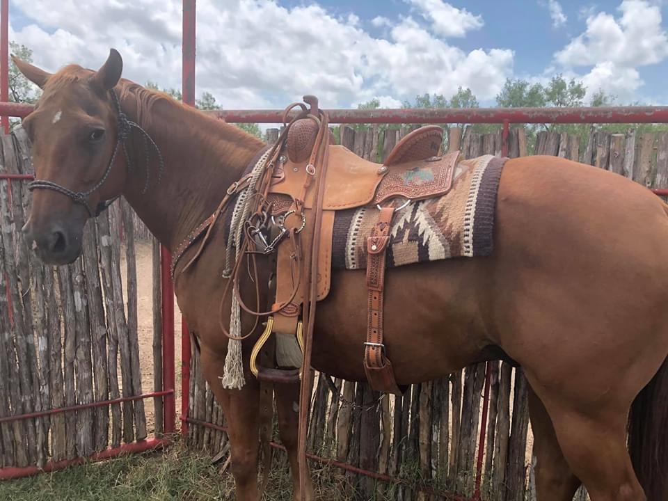 Branco Custom Saddlery | 1875 Grosenbacher Rd, San Antonio, TX 78245 | Phone: (210) 249-1403