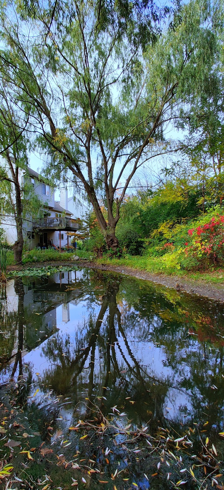 Arbor Hills Nature Area | 3528 Burbank Dr, Ann Arbor, MI 48105, USA | Phone: (734) 794-6000