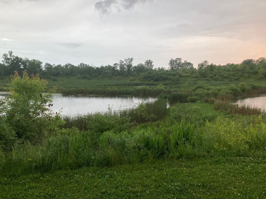 Delaware City Wetlands Park | Delaware, OH 43015, USA | Phone: (740) 203-1810