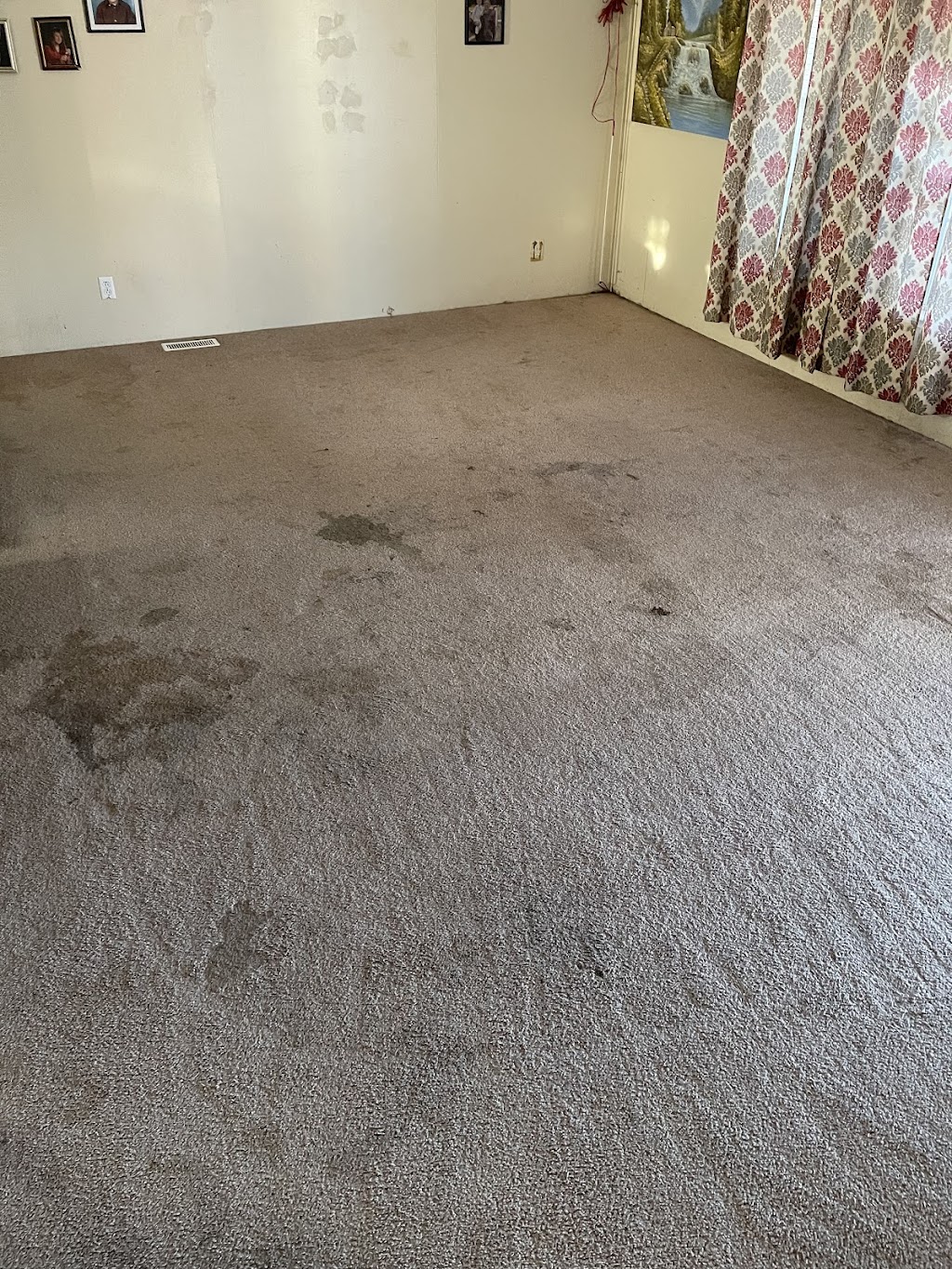 At Your Service Carpet Cleaning | Casa Grande, AZ 85122, USA | Phone: (520) 426-1713