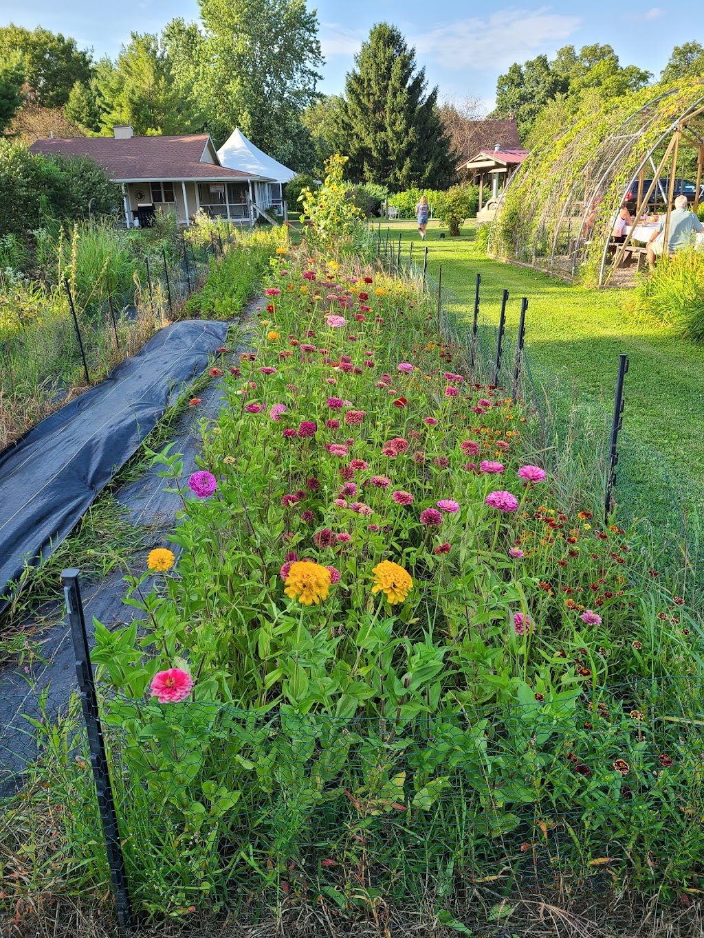 Still Point Flower Farm | W886 WI-92 Trunk, Brooklyn, WI 53521, USA | Phone: (608) 335-3550