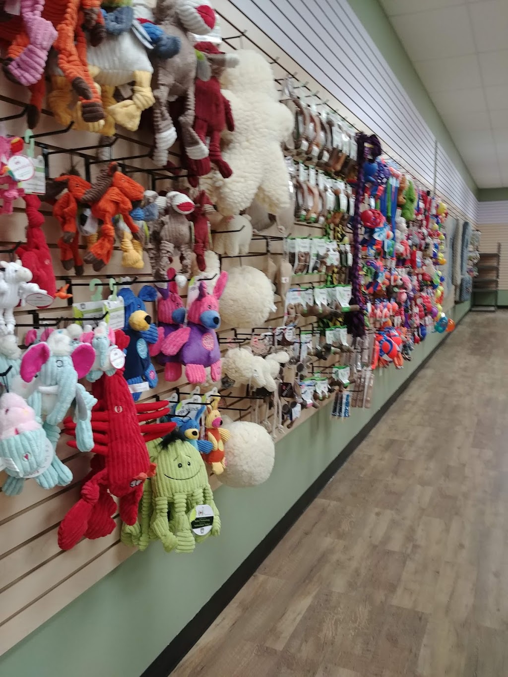 Happy Tails Market | 191 Mechanic St #7, Bellingham, MA 02019, USA | Phone: (508) 657-3397