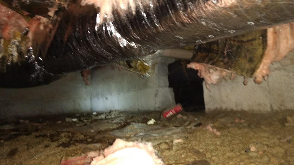 Best Inspections | 1055 Western Ave, Albany, NY 12203, USA | Phone: (518) 768-1016