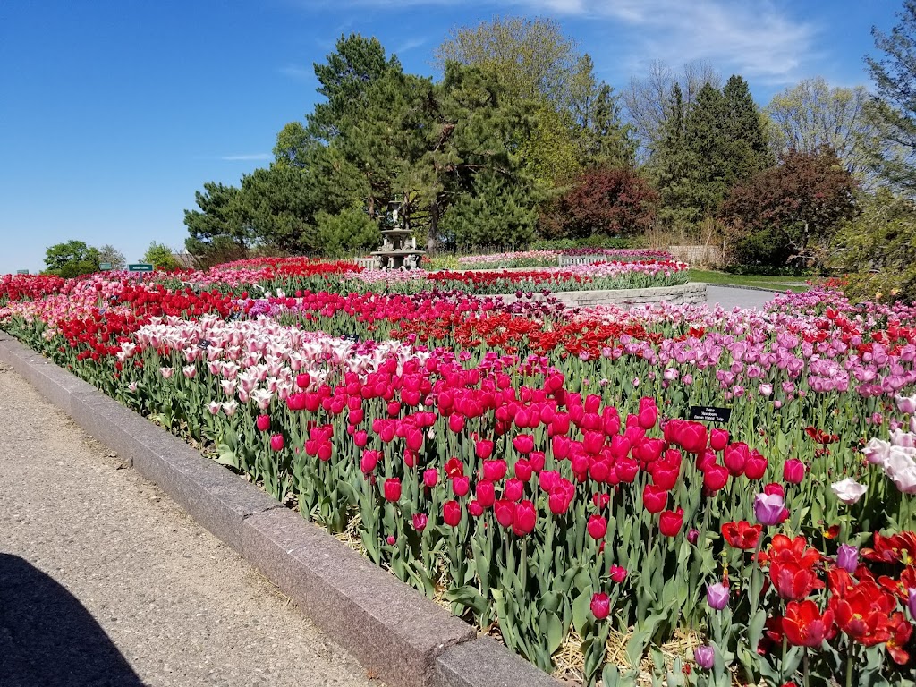 Chaska Town Course | 3000 Town Course Dr, Chaska, MN 55318, USA | Phone: (952) 443-3748