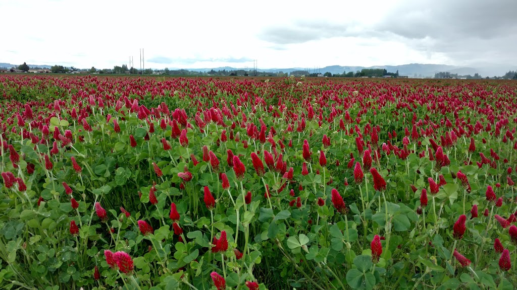 Hillsboro Trap & Skeet Club | 33295 NW Wren Rd, Hillsboro, OR 97124, USA | Phone: (503) 648-2972