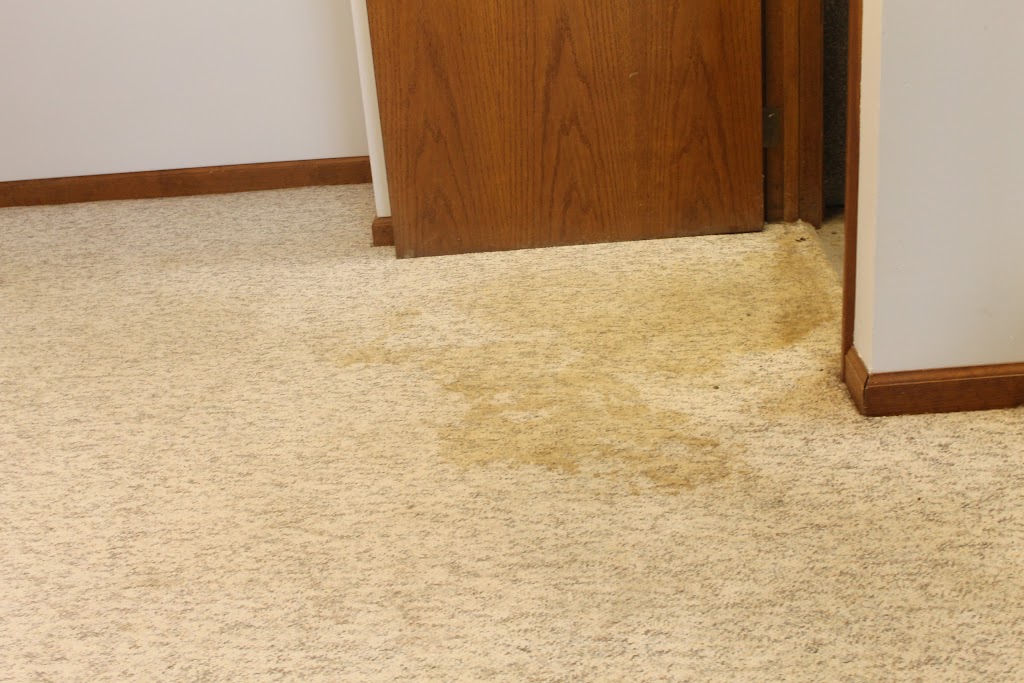 Extreme Professional Carpet and Upholstery Cleaning | 900 Lockmead Ct, Pataskala, OH 43062, USA | Phone: (614) 895-0903