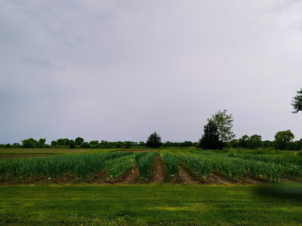 Copper Kettle Farm - Gourmet Fresh Garlic | 5576 County Rd Q, Colgate, WI 53017, USA | Phone: (262) 538-1189