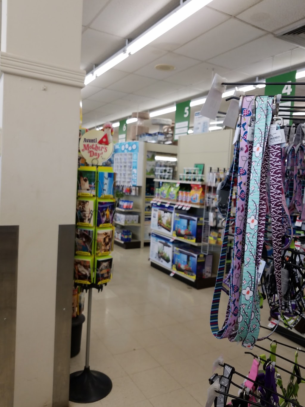 Pet Supplies Plus Chardon | 425 Water St, Chardon, OH 44024, USA | Phone: (440) 286-5442